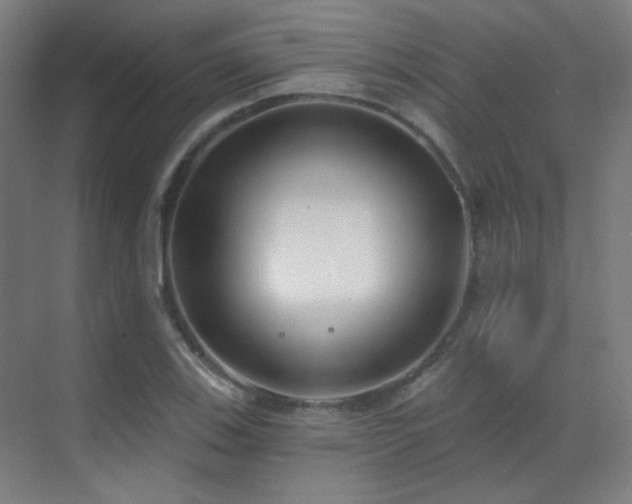 X0000070201123200605261219