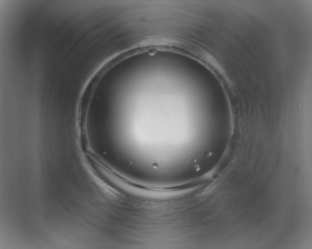 X0000070201124200605261219