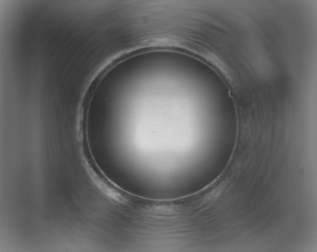 X0000070201126200605261219