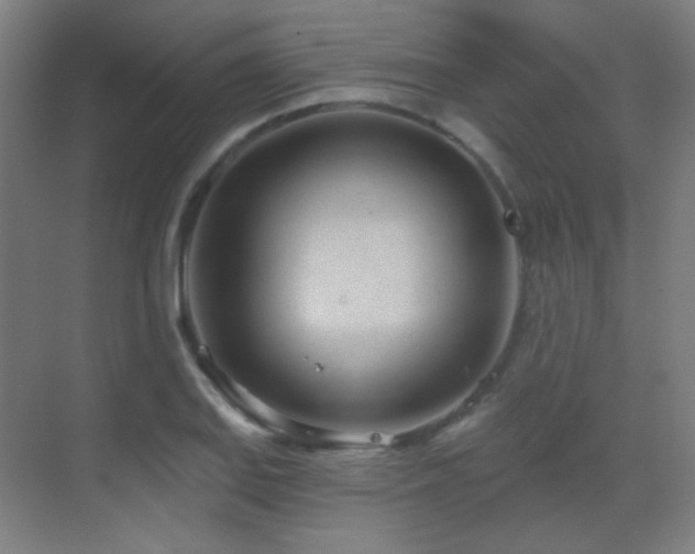 X0000070201127200605261219