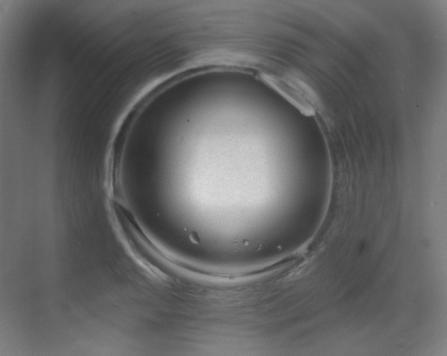 X0000070201128200605261219