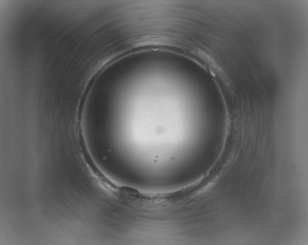 X0000070201129200605261219