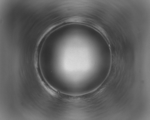 X0000070201131200605261219
