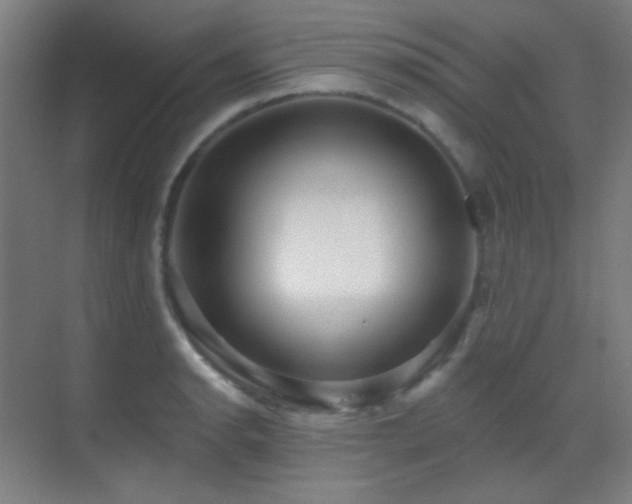 X0000070201134200605261219