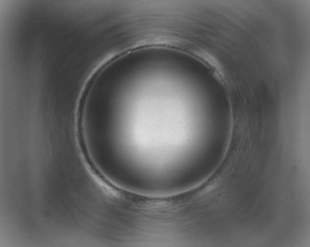 X0000070201135200605261219