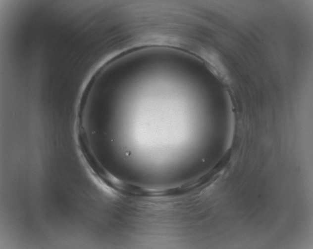 X0000070201136200605261219