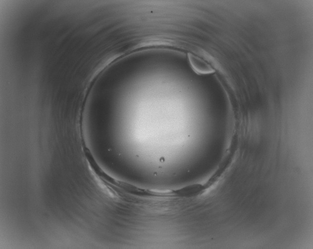 X0000070201137200605261219