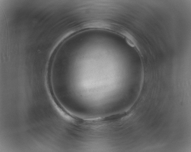X0000070201139200605261219