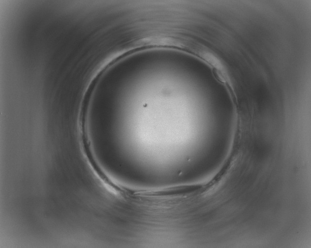 X0000070201141200605261219