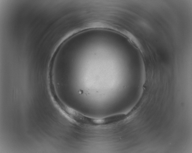 X0000070201142200605261219