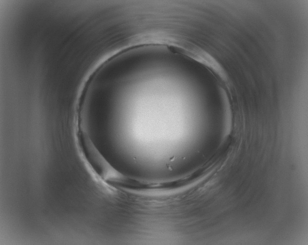 X0000070201144200605261219