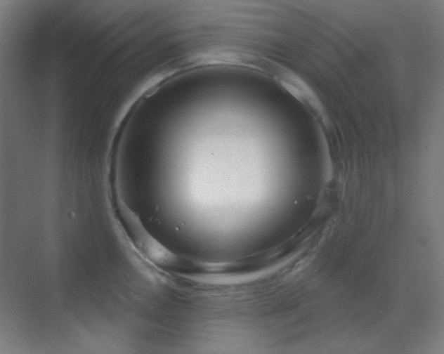 X0000070201146200605261219