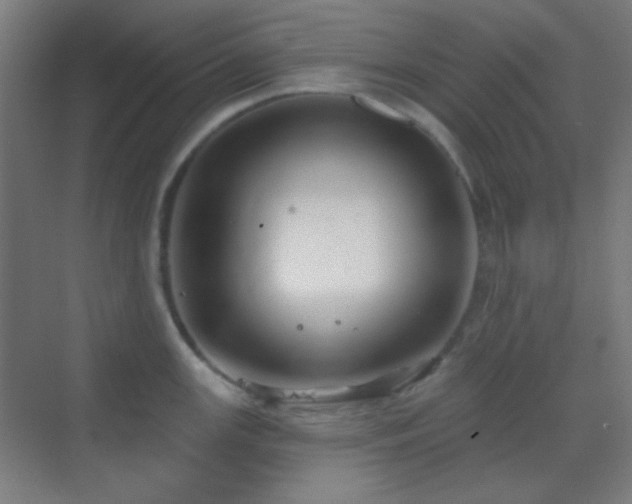 X0000070201147200605261219
