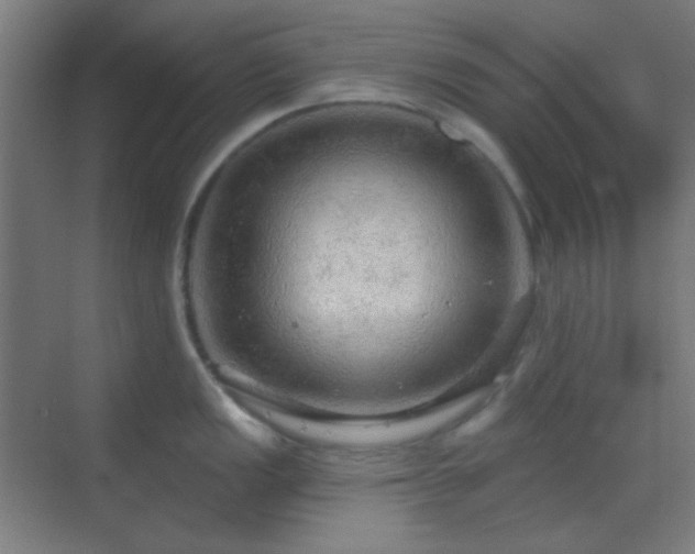 X0000070201149200605261219