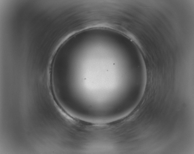 X0000070201151200605261219