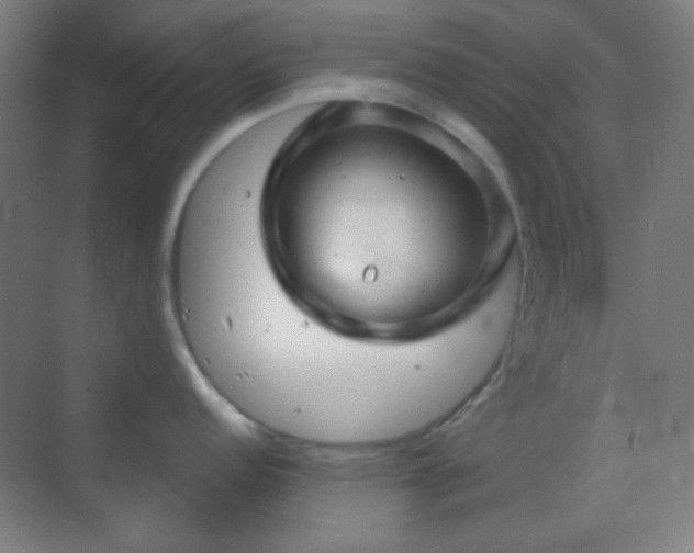 X0000070201152200605261219