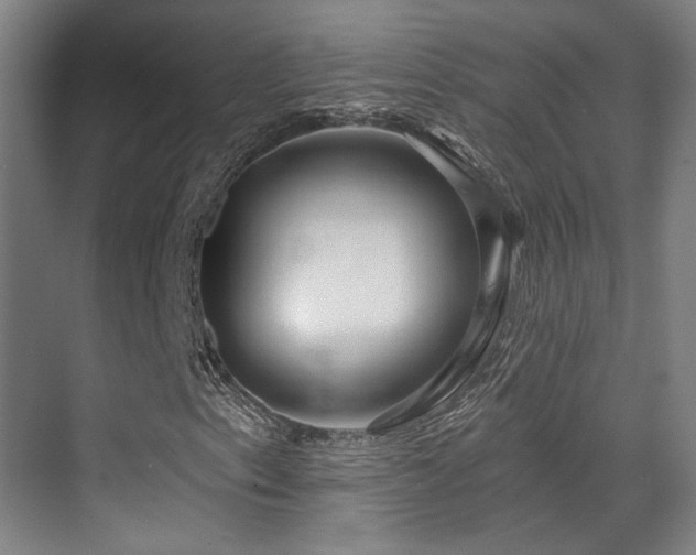 X0000070201153200605261218