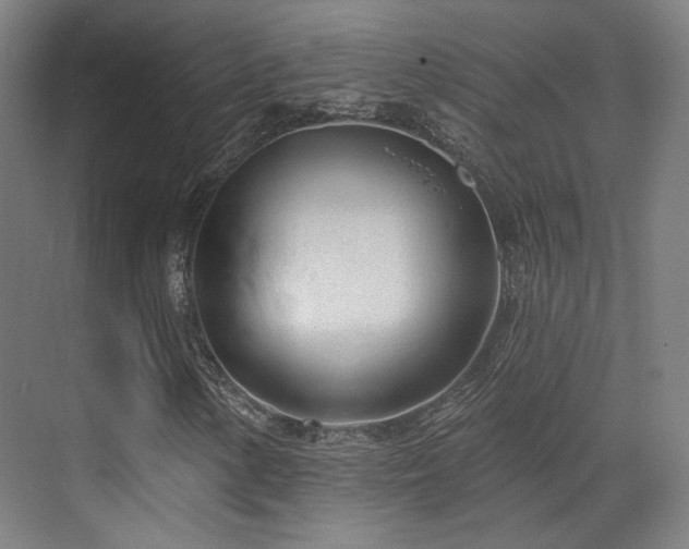 X0000070201154200605261218