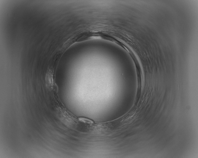 X0000070201155200605261218