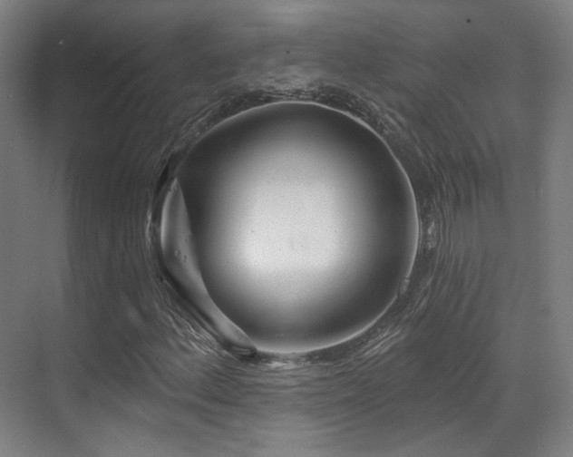 X0000070201156200605261218