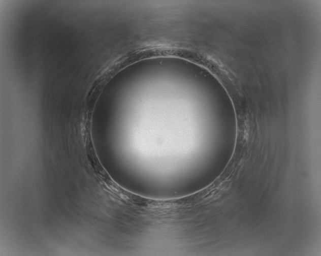 X0000070201157200605261218