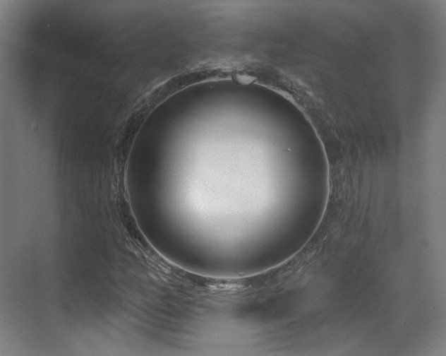 X0000070201158200605261218