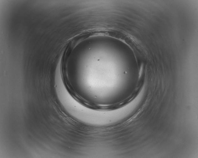 X0000070201161200605261218