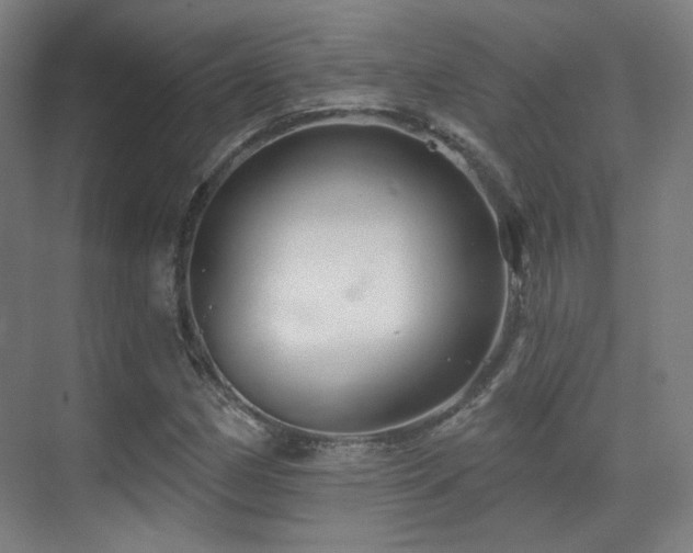 X0000070201162200605261218