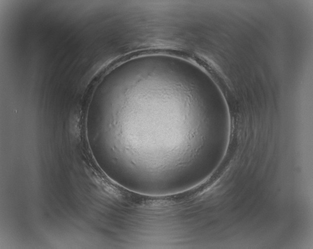 X0000070201163200605261218