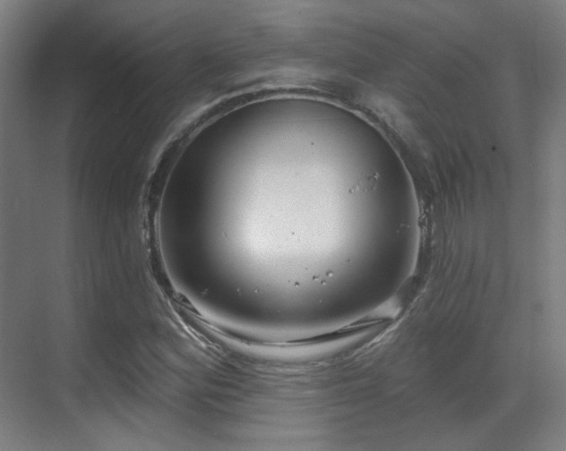 X0000070201164200605261218