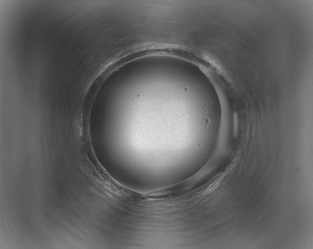 X0000070201165200605261218