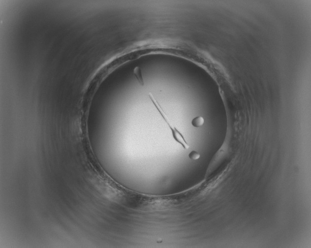 X0000070201166200605261218