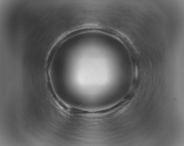 X0000070201168200605261218