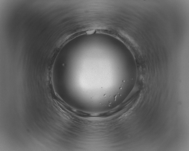 X0000070201169200605261218