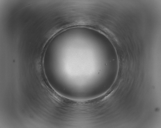 X0000070201170200605261218