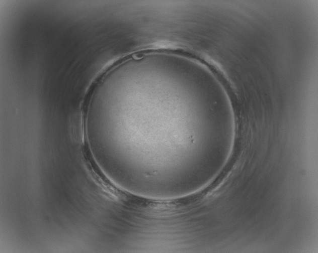 X0000070201171200605261218
