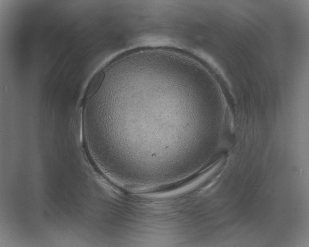 X0000070201175200605261218