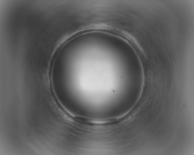 X0000070201176200605261218