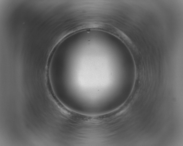 X0000070201178200605261218