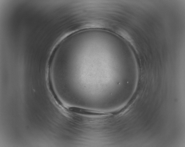 X0000070201179200605261218
