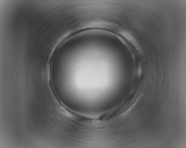 X0000070201180200605261218