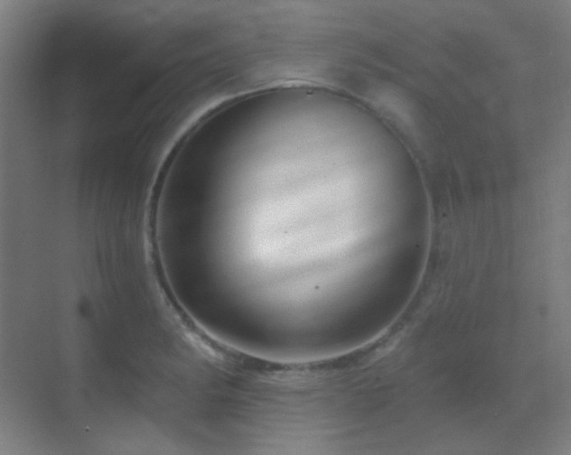 X0000070201182200605261218