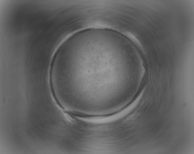 X0000070201183200605261218
