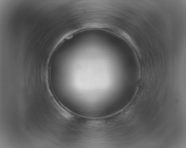 X0000070201187200605261218