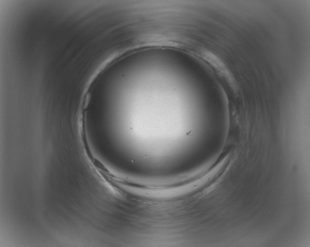 X0000070201188200605261218