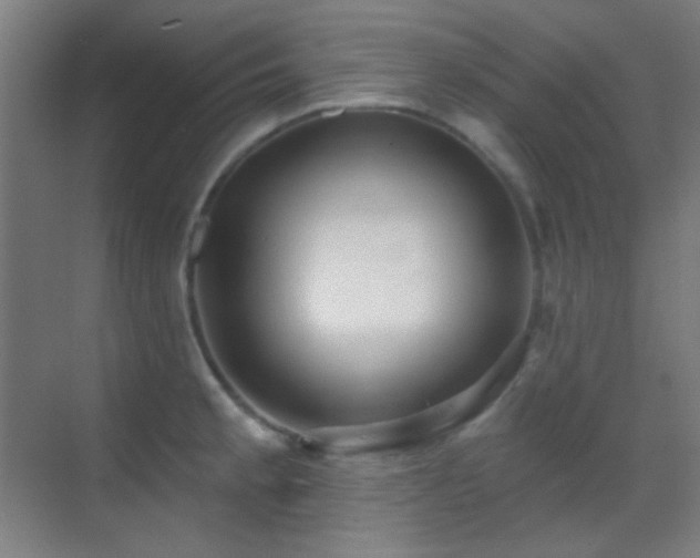 X0000070201189200605261218