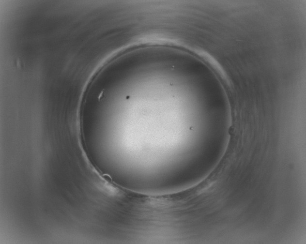 X0000070201191200605261218