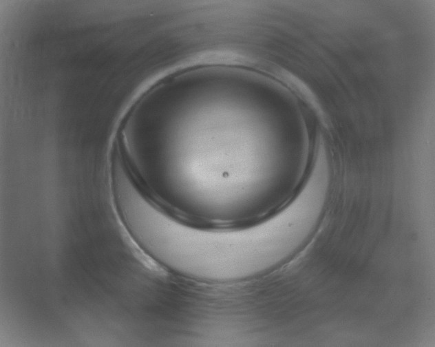 X0000070201192200605261218