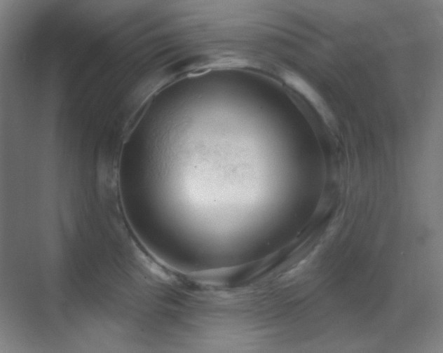 X0000070201193200605261218