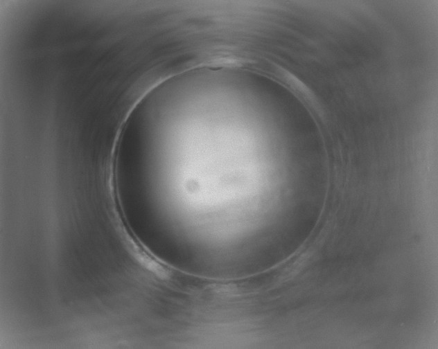 X0000070201194200605261218